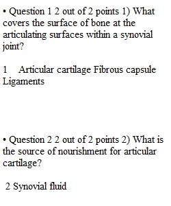 Quiz 3